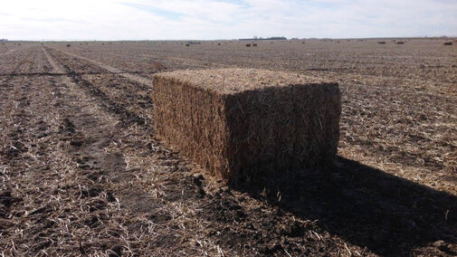 Baled soybean residue in a field