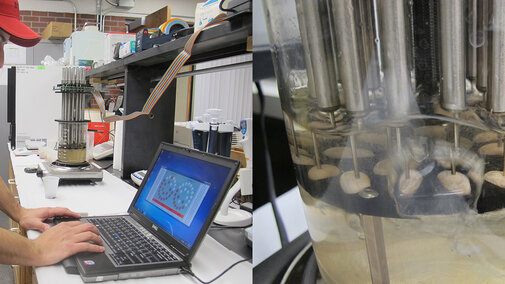 Dry edible beans being cooked to test various variety attributes, including cooking time