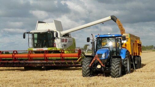 Combine dumping grain at harvest