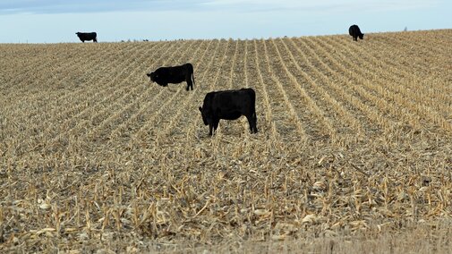 The Crop Residue Exchange continues to expand to better connect livestock producers with available forage resources.