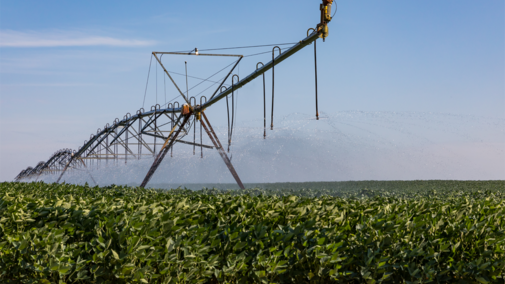 Center pivot in soybeans