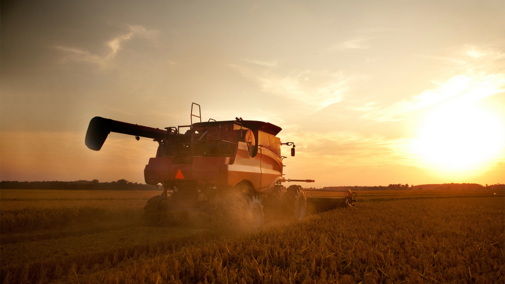 Combine during harvest