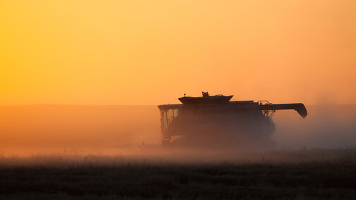 Combine harvesting at sunset