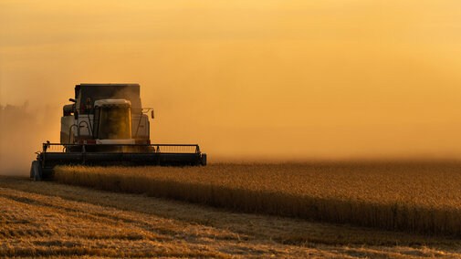 Combine in wheat