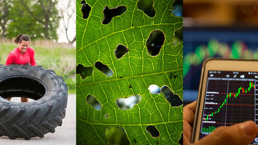 Crop production collage