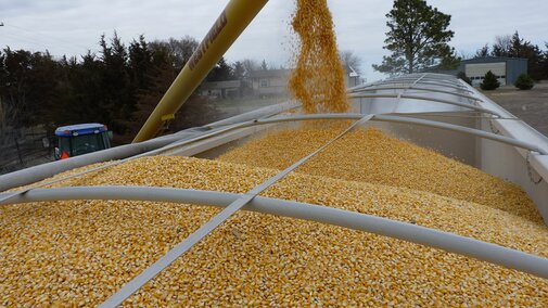 Combine loading grain into a truck