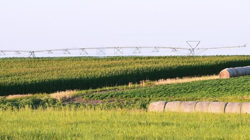 corn and soybean field with center pivot irrigation