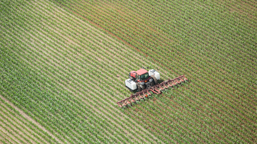 Tractor applying nitrogen fertilizer to corn field