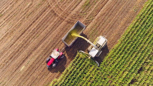 Corn harvest aerial
