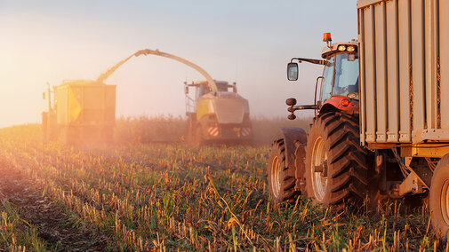 Farm equipment chops and loads corn residue at sunset, with tractors and a forage harvester working through a dusty field after harvest.