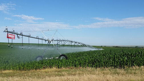 Drop sprinklers on a center-pivot irrigation system in corn