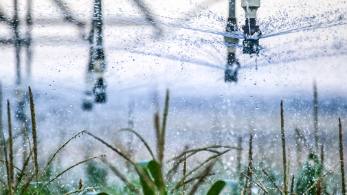 corn irrigation thumbnail