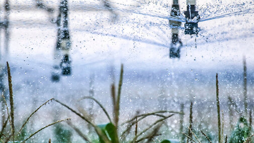 corn-irrigation