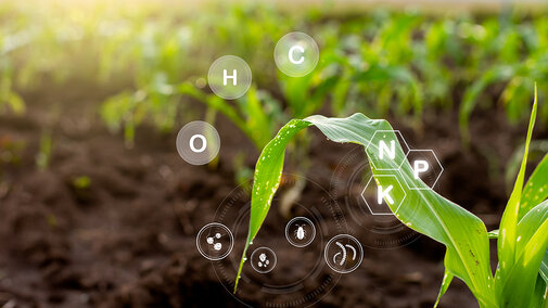 Young corn plant in field with digital nutrient icons showing N, P, K and soil elements overlayed above leaves.