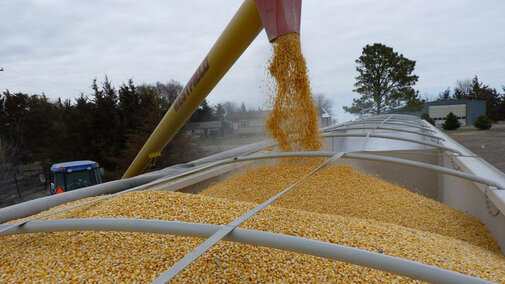 loading a grain truck