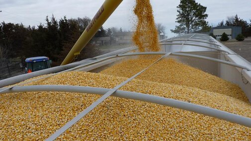 Loading a truck with grain
