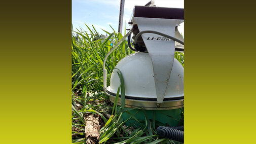 CO2 sensor in rye cover crop