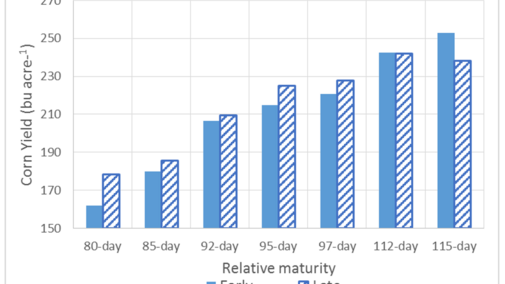 Chart showing corn yield as affected by planting date and hybrid maturity