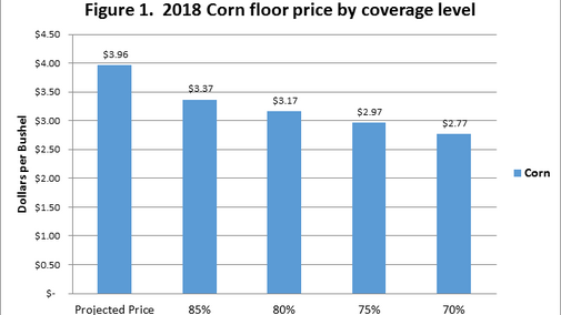 Corn floor price by coverage level for 2018 revenue protection coverage