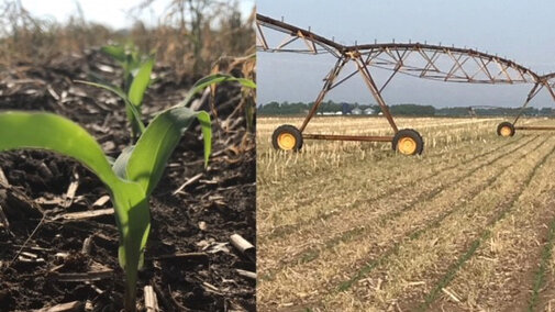 Photos of current field conditions