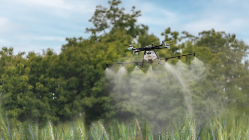 Drone spraying wheat field
