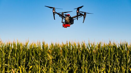 drone flying over corn field