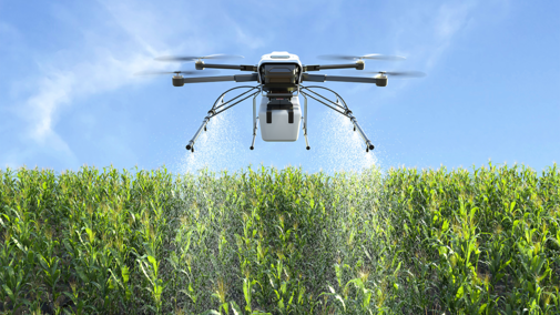 Drone spraying corn field