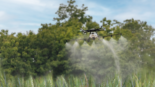 Drone spraying wheat field