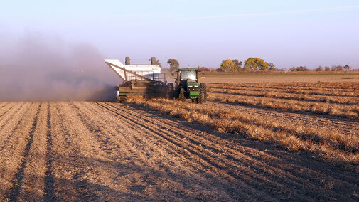 Figure 1. Dry bean harvest underway in the Nebraska Panhandle Wednesday, Oct. 18. (Photo by Gary Stone)