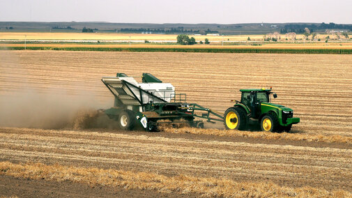 Combine harvesting dry beans
