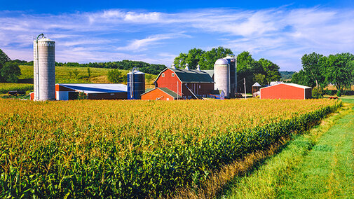 Farm scene