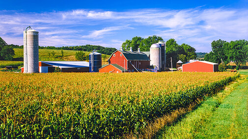 Farm scene