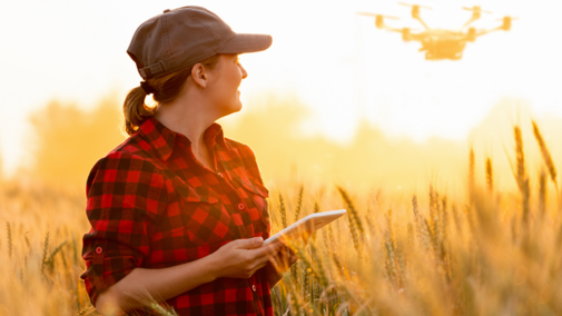 Woman operating drone in wheat field