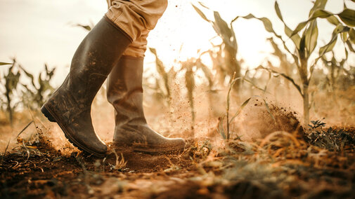 farmer walking through dusty field