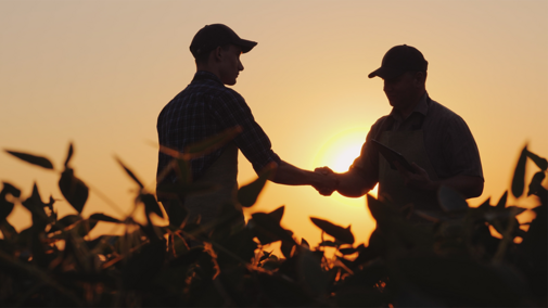 Farmers shaking hands in field