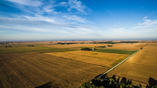 Aerial view of farmland and houses