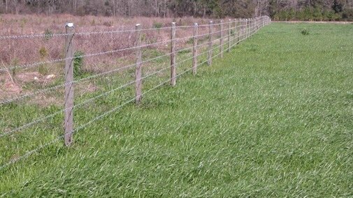 Pasture fencing