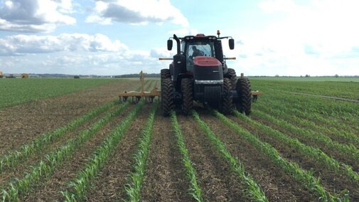 Figure 1. Manure being applied in a corn field, using a drag-hose system. Learn more in this month's Soil Health Nexus Blog article.