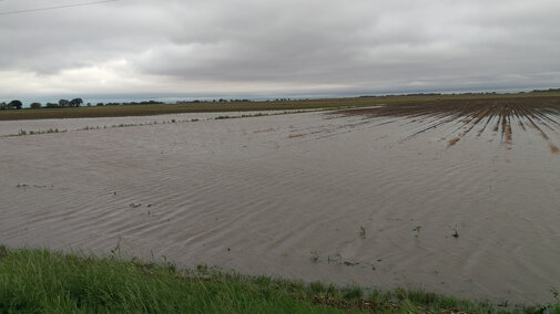 Flooded field in south central Nebraska