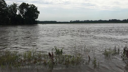 a flooded field