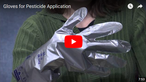 Screen shot of UNL Pest Education video on gloves as personal protection equipment