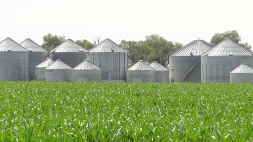 Farm grain bins