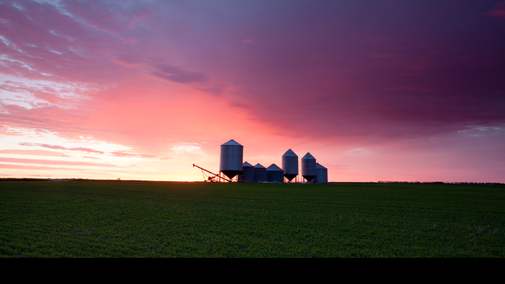 Grain bins