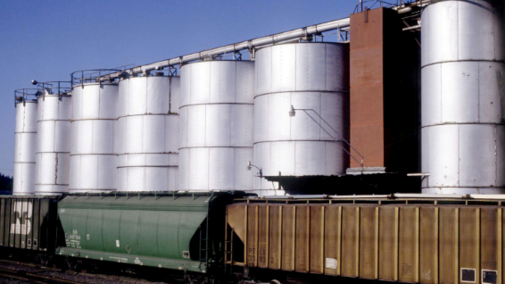 Train cars at a grain elevator