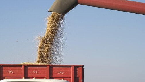 Loading a grain truck