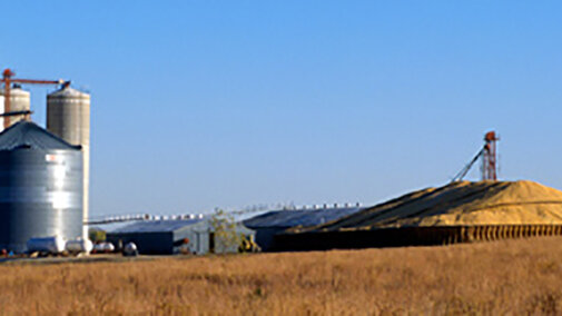 Figure 1. When traditional storage is limited, structures, bags, and piles may provide suitable alternatives if grain is carefully stored and monitored. Grain can be stored short-term in piles, but losses can quickly develop if it's not properly protected from the elements or stored too long.