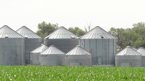 Figure 1. Maintaining grain quality during extended storage requires extra care and management.