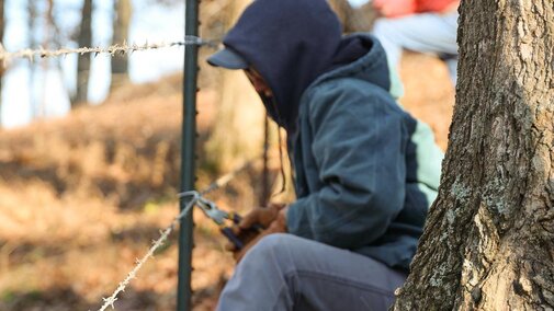 Person repairing barbed wire fence with pliers near a tree in a pasture setting.