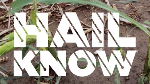 The Hail Know website offers timely information to help farmers respond when hail strikes their crops.