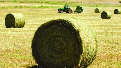 Large, round hay bales